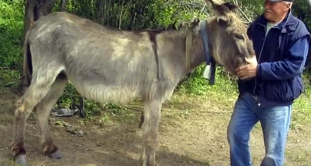 Последни новини