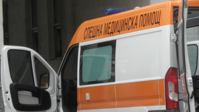 Последни новини