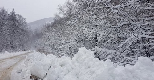 Последни новини