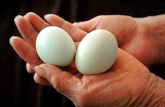 Ако започнете да ядете по 2 яйца на ден, тези 9 промени ще се случат с тялото ви