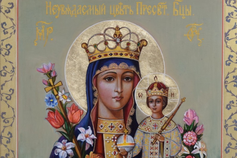 Последни новини Последни новини