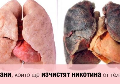 Внимание, бивши и настоящи пушачи: тези 6 храни може да изчистят никотина от телата ви