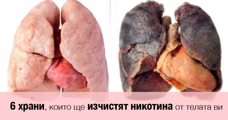 Внимание, бивши и настоящи пушачи: тези 6 храни може да изчистят никотина от телата ви