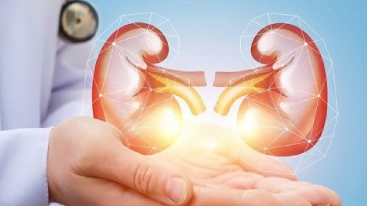 8 симптома които издават, че бъбреците ви не работят добре и трябва да вземете мерки, докато не е станало късно