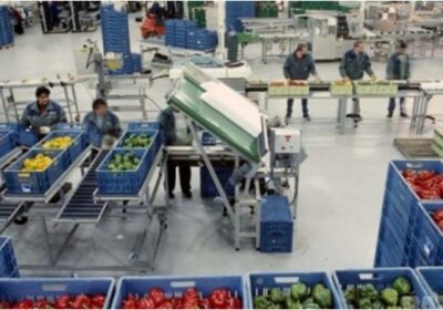 Великобритания изрева: По 15 паунда на час, но пак няма кой да работи, искаме българите