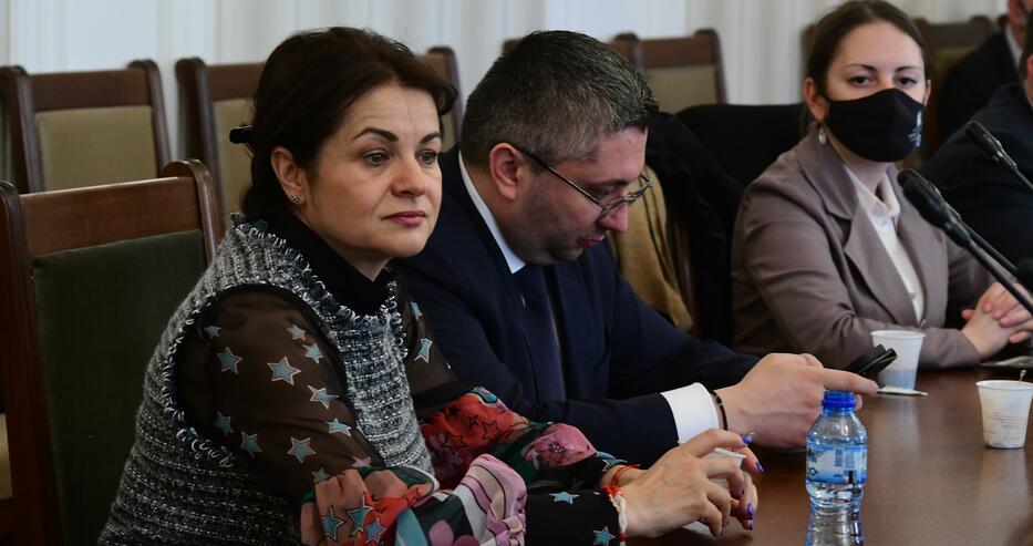 Детутатката от ГЕРБ Росица Кирова: Аз съм собственик на пристанище и притежавам 11 плавателни съда