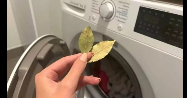 Последни новини