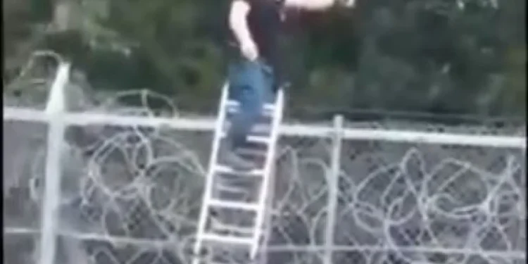 Последни новини