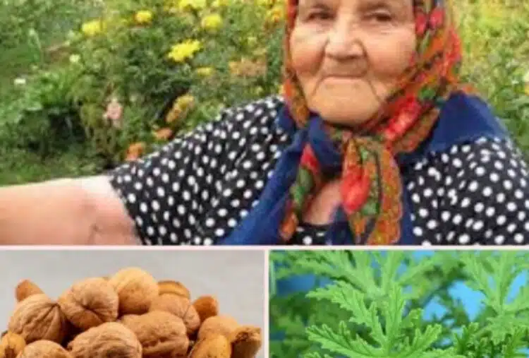 Последни новини