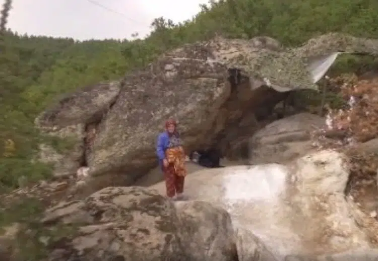 Последни новини