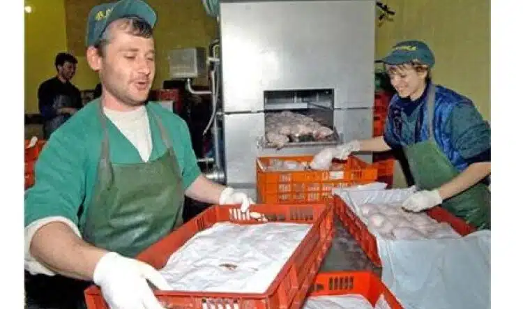 Последни новини
