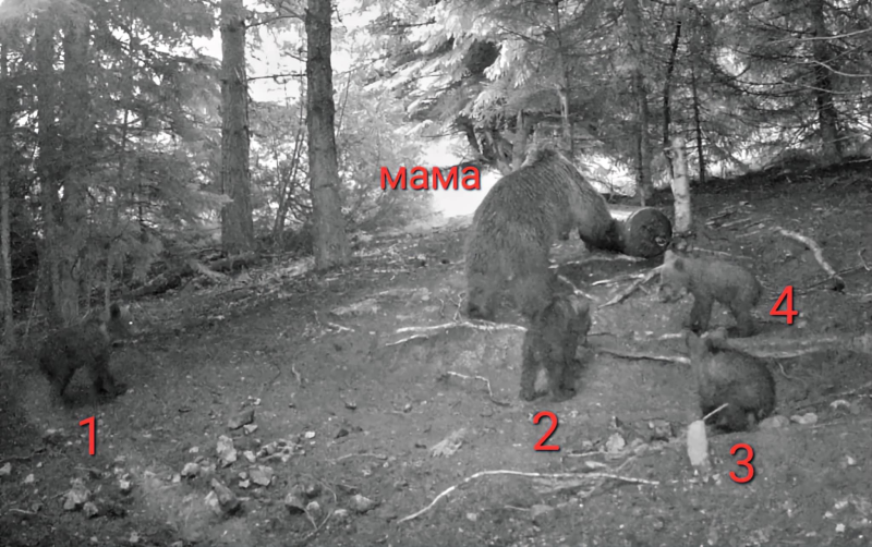 Последни новини