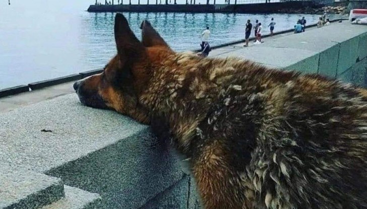 Последни новини Последни новини