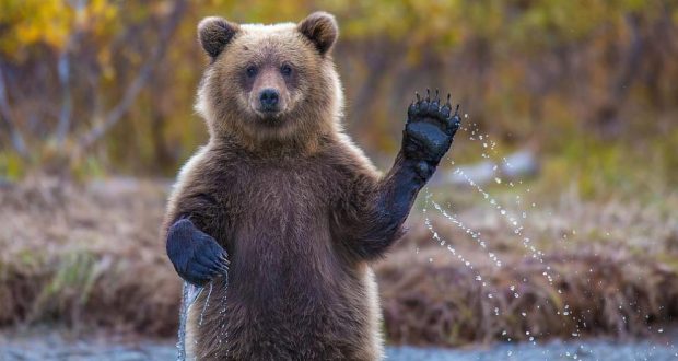 Последни новини Последни новини