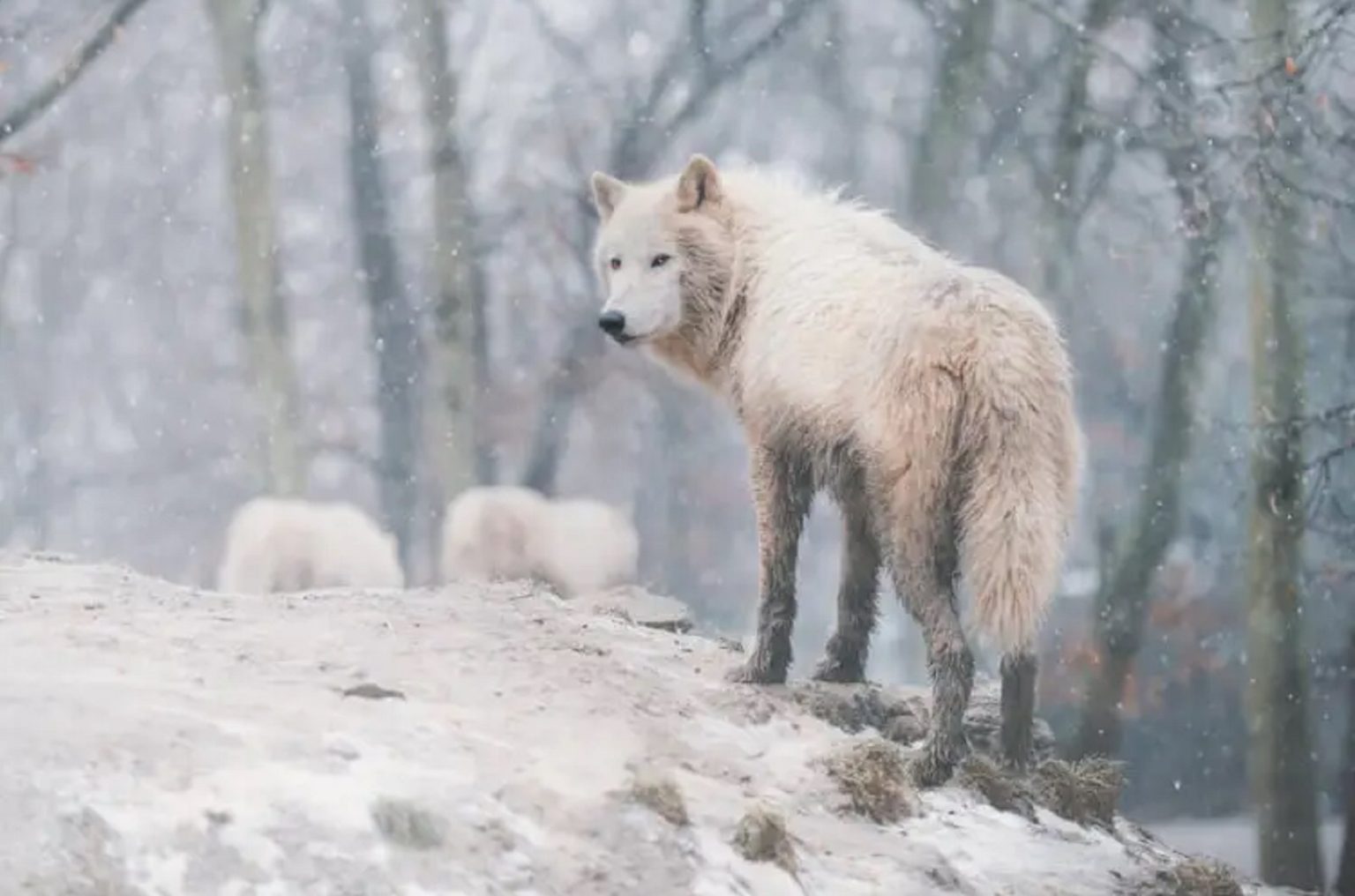 Последни новини