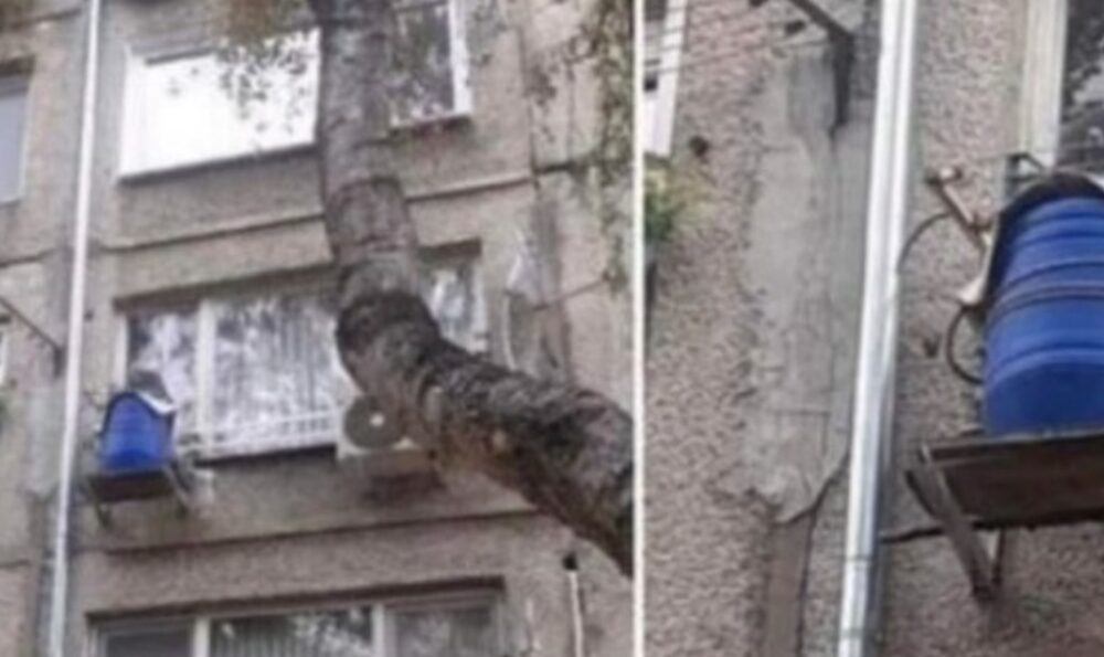 Последни новини