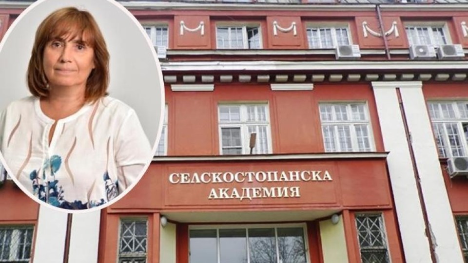 Последни новини