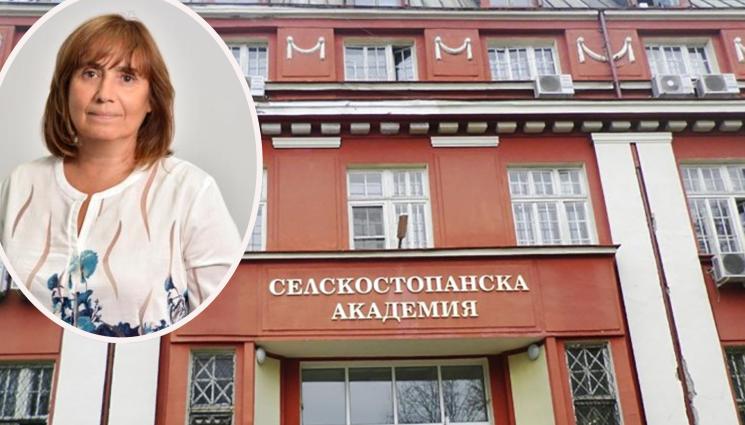 Последни новини