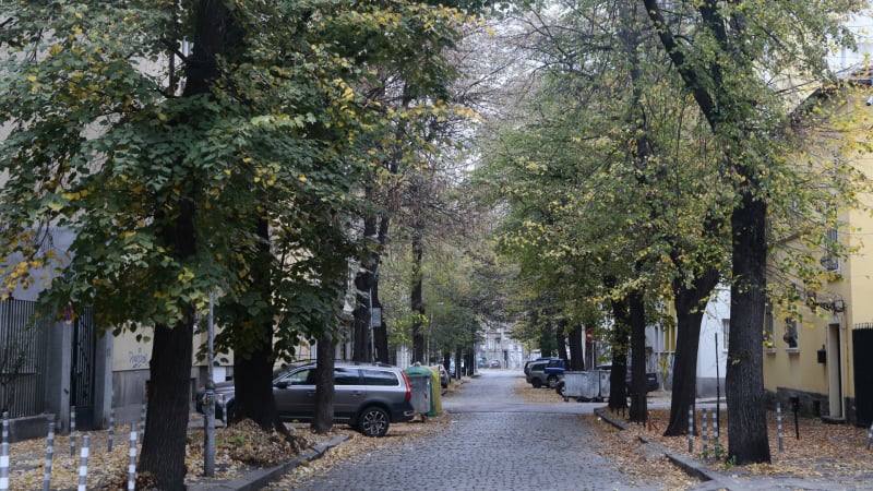 Последни новини