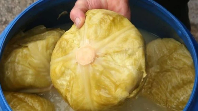 Последни новини