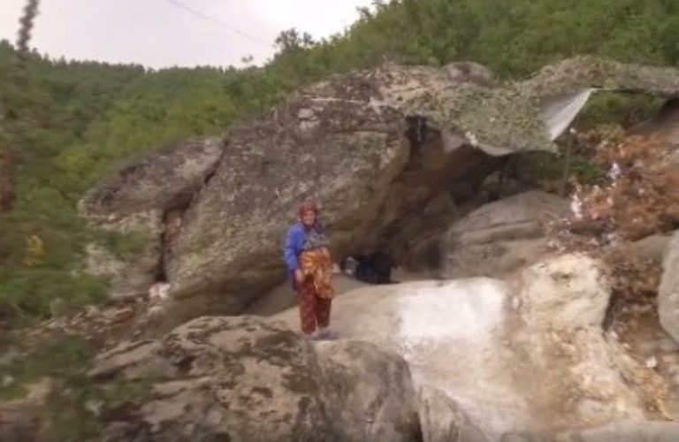 Последни новини