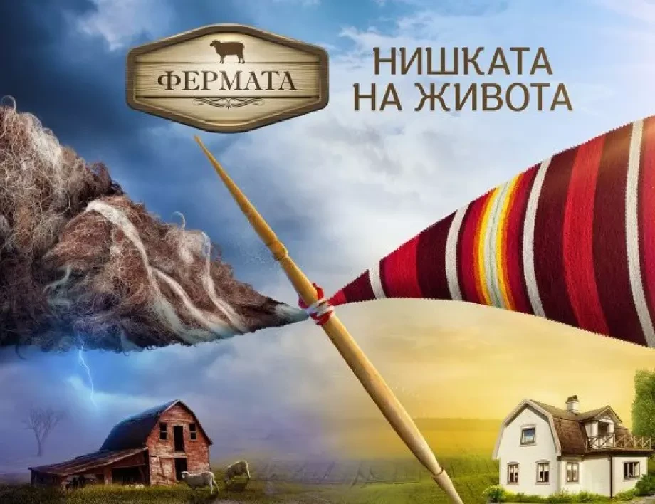 Последни новини