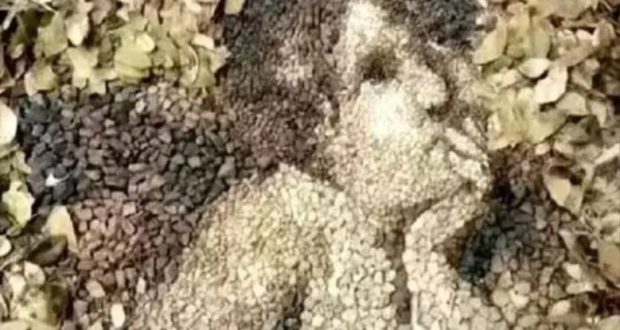 Какво видяхте първо на картинката-Това ще разкрие важни обстоятелства за бъдещето си