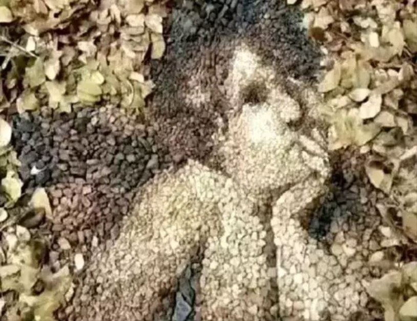 Последни новини Последни новини