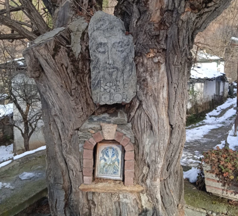 Последни новини