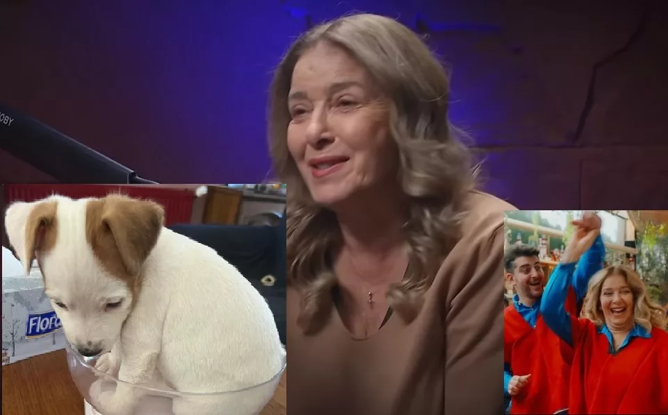 Последни новини