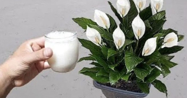 Последни новини