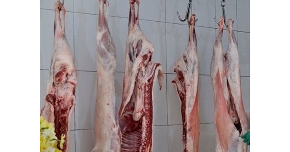Последни новини Последни новини