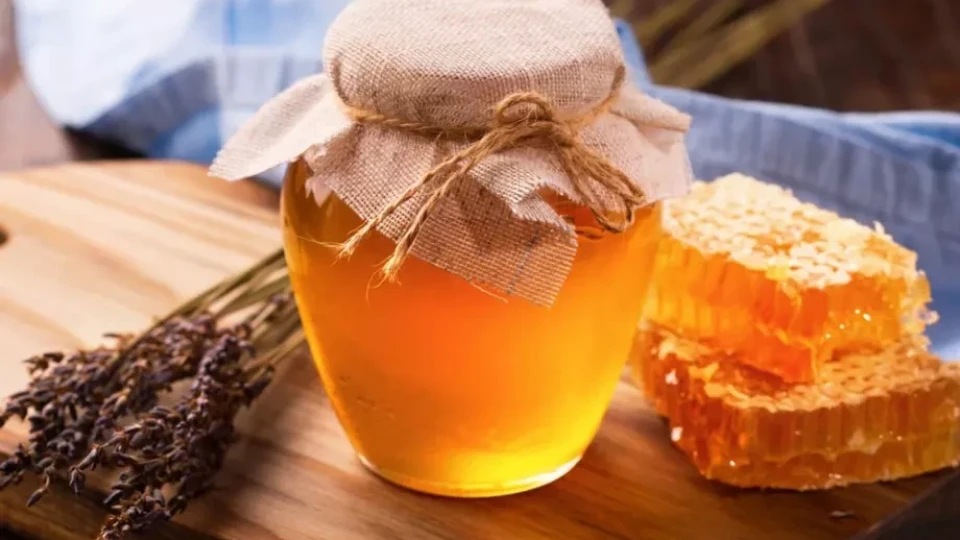 Последни новини