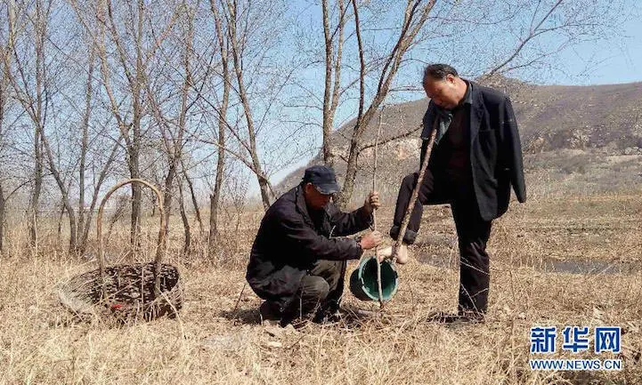 Последни новини