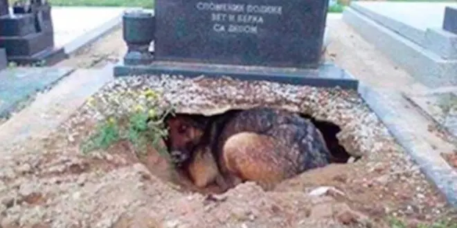 Последни новини