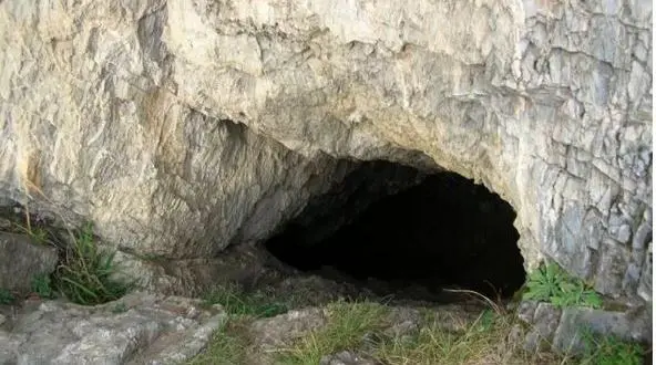 Последни новини