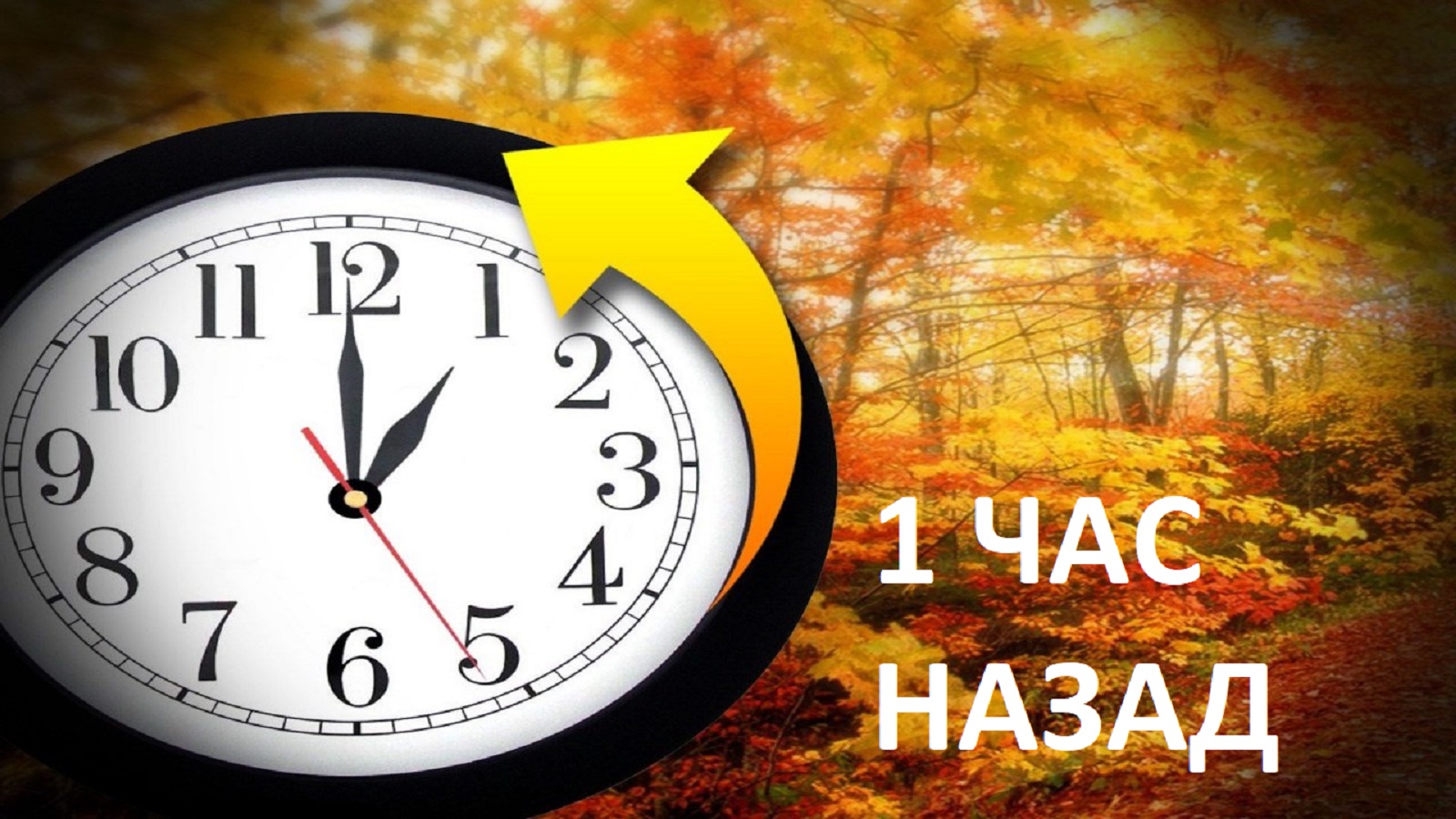 Последни новини