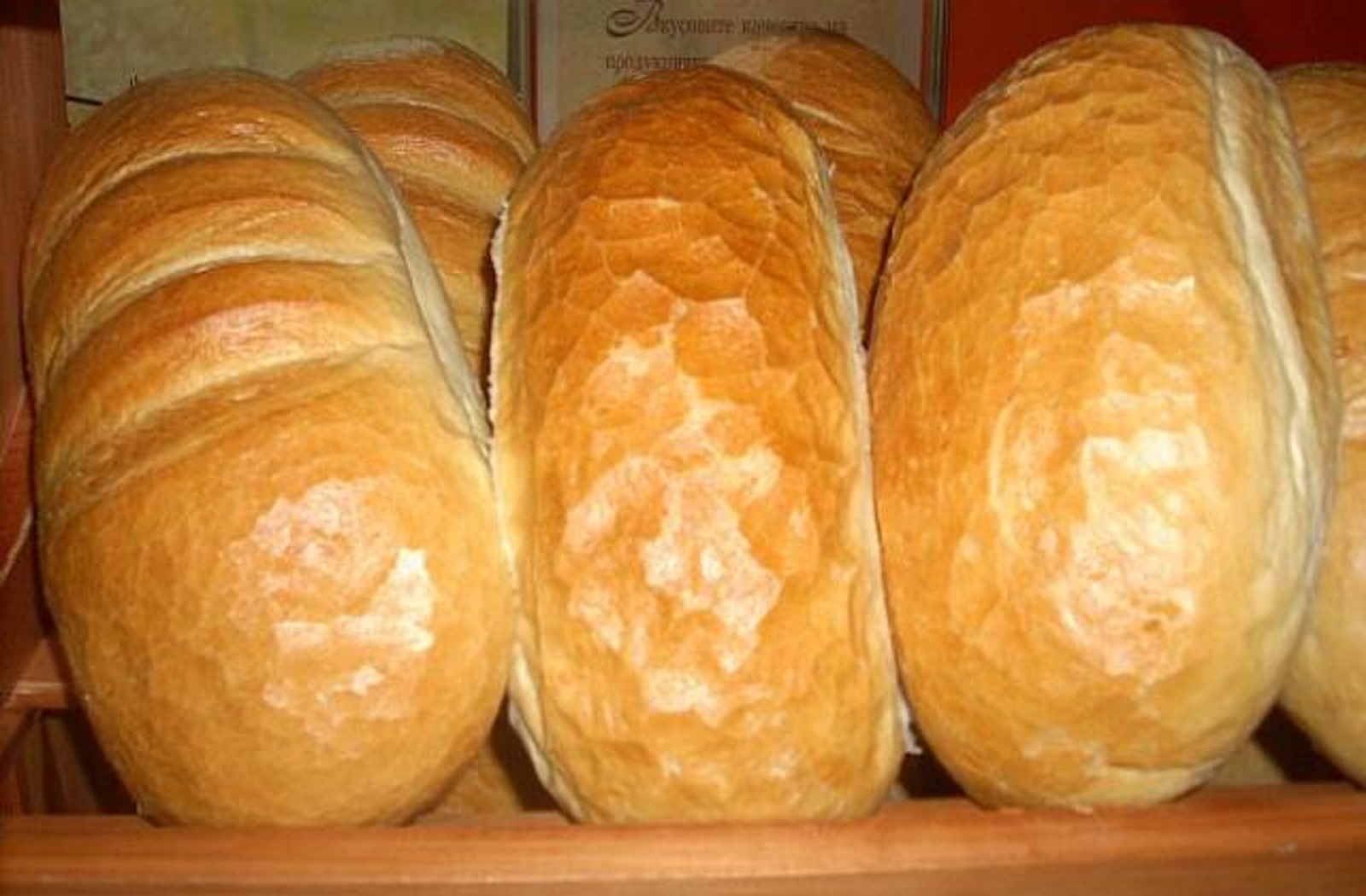 Последни новини