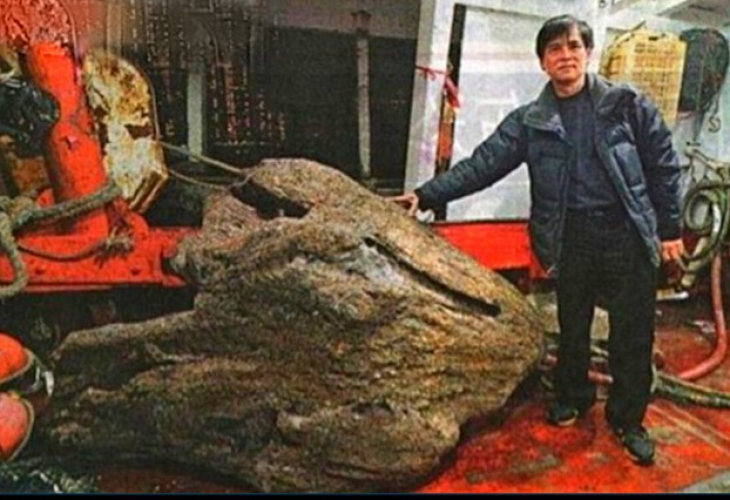 Последни новини