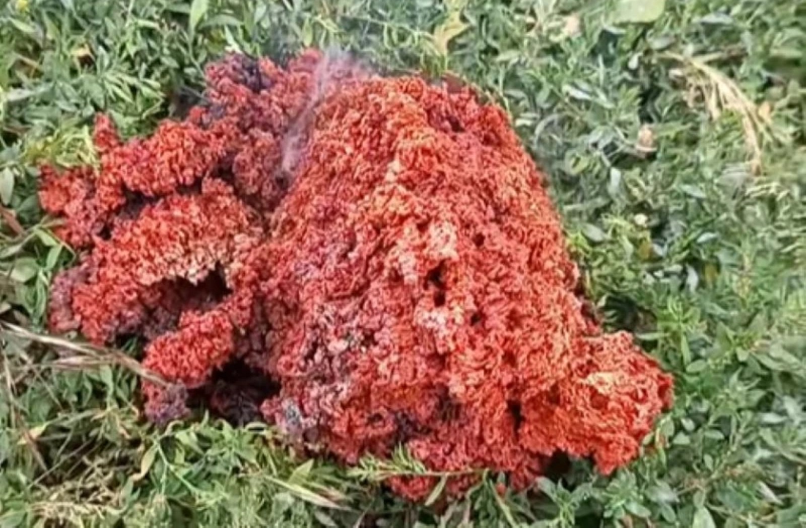 Последни новини