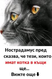 Последни новини Последни новини