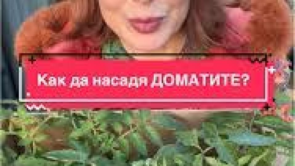 Последни новини