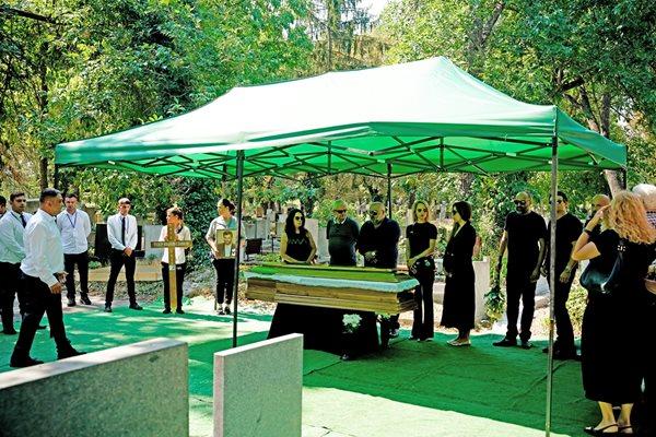 Последни новини