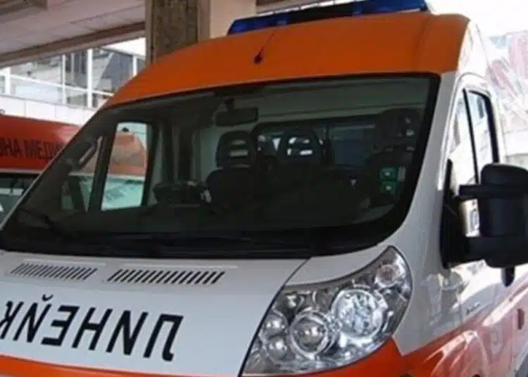 Последни новини