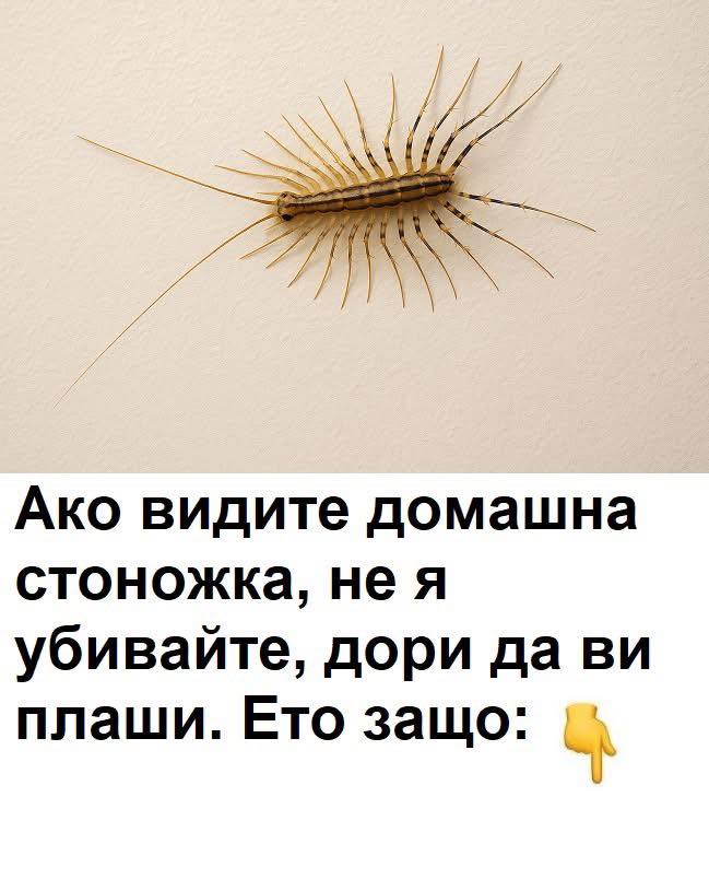 Последни новини Последни новини