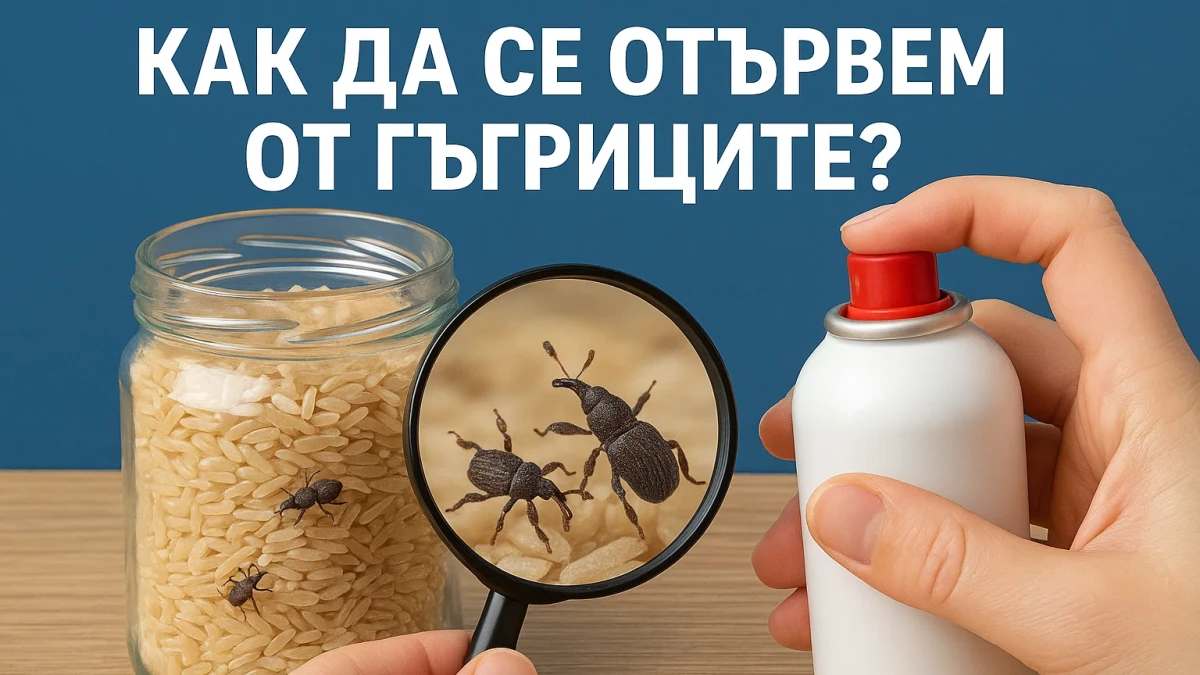 Последни новини