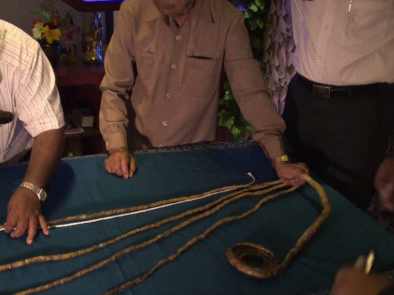 Последни новини