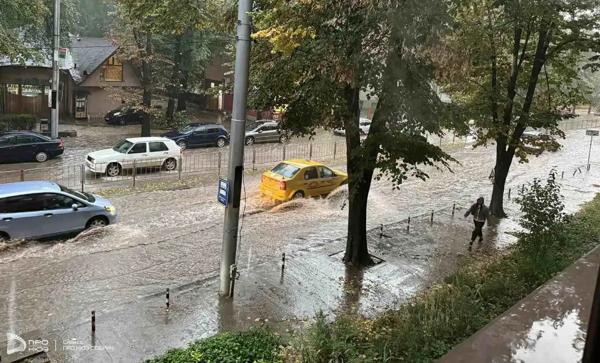 Последни новини