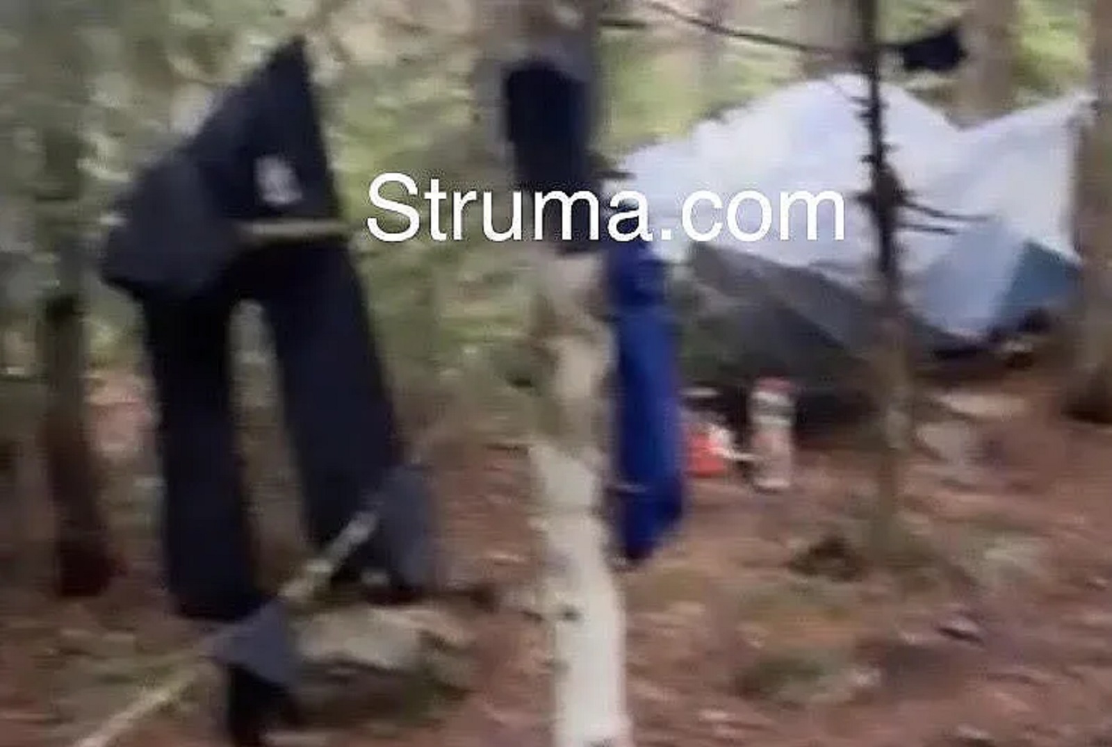 Последни новини