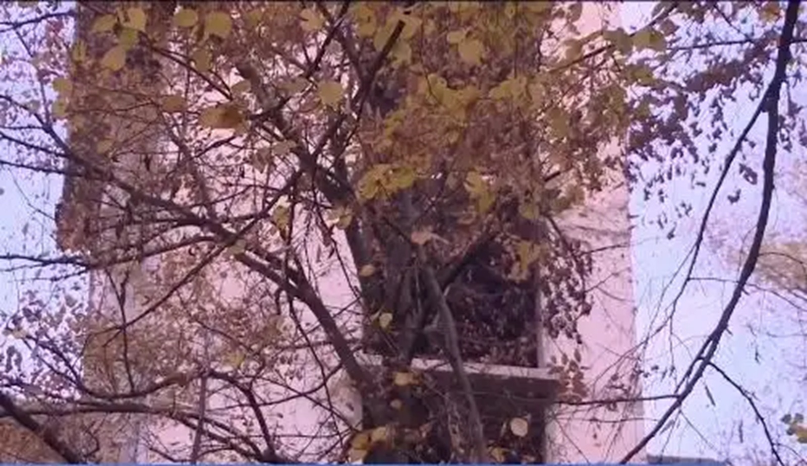 Последни новини